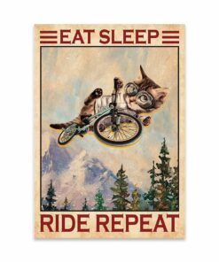 Cat Eat Sleep Ride Repeat Canvas Poster 1