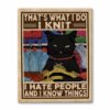 Cat I Knit I Hate People And I Know Things Canvas, Poster