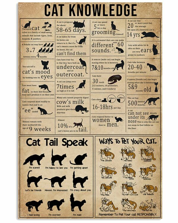 Cat Knowledge Vintage Poster, Canvas