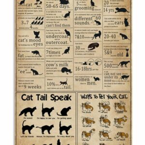 Cat Knowledge Vintage Poster Canvas 5