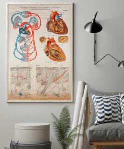 Human Heart Anatomical Cardiologist Poster Canvas 4