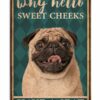 Pug Why Hello Sweet Cheeks Have A Seat Vintage Poster, Canvas