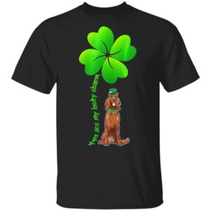 Womens Leprechaun Irish Setter Are My Lucky Charm Clover Patrick T-Shirt, Long Sleeve, Hoodie