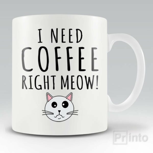 I need coffee right Meow – mug