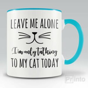 Leave me alone, I only talk to my cat – mug