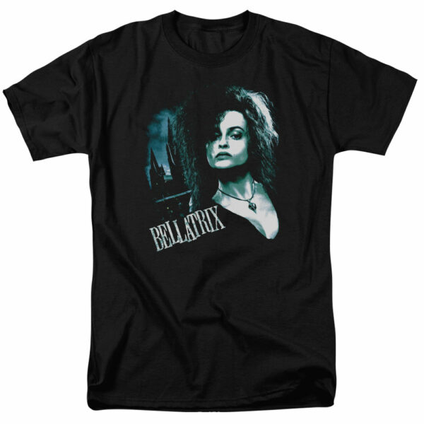 Harry Potter – Bellatrix Closeup