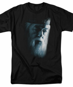 Harry Potter Dumbledore Face 1