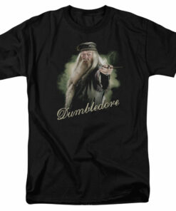 Harry Potter Dumbledore Wand 1