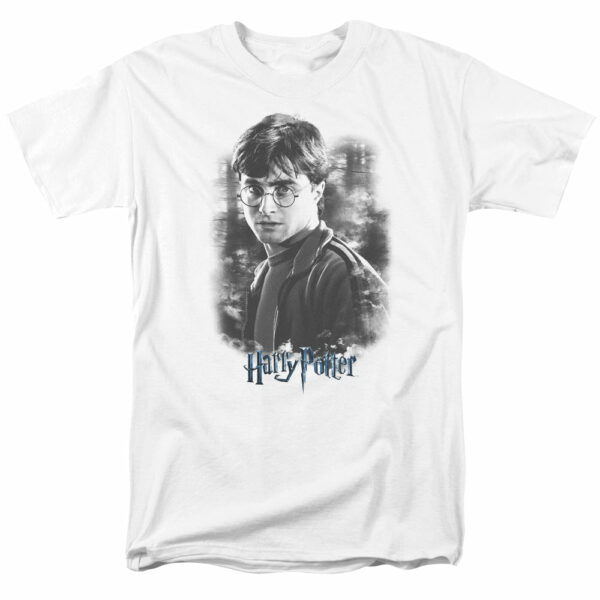 Harry Potter – Harry in the Woods