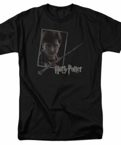 Harry Potter Harrys Wand Portrait 1