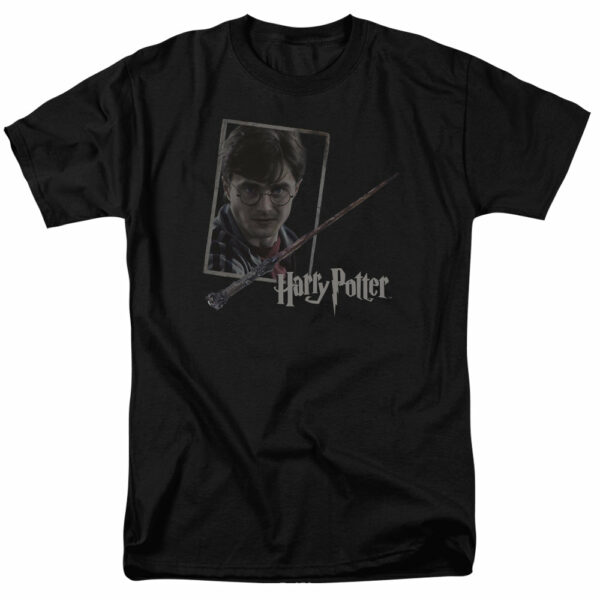 Harry Potter – Harry’s Wand & Portrait