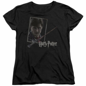 Harry Potter – Harry’s Wand & Portrait