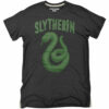 Harry Potter – The Slytherin