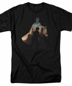 Harry Potter Voldemort Looms 1