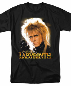 Labyrinth Jareth 1
