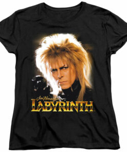 Labyrinth Jareth 2