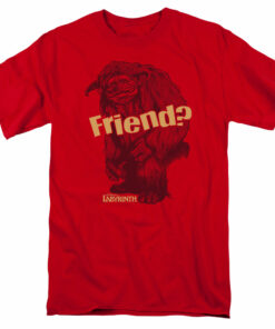 Labyrinth Ludo Friend 1