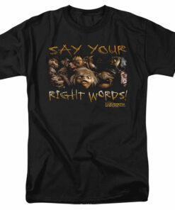 Labyrinth Say Your Right Words 1