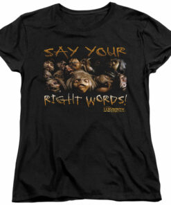 Labyrinth Say Your Right Words 2