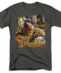 Labyrinth Sir Didymus 1