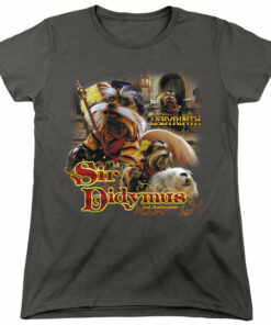 Labyrinth Sir Didymus 2