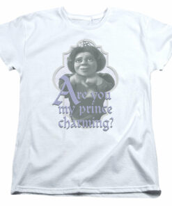 Shrek Important Question 2