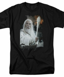 The Lord of the Rings Trilogy Gandalf 1