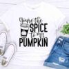 youre the spice to my pumpkin shirt