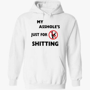 Ahole Just For Shtting Hoodie