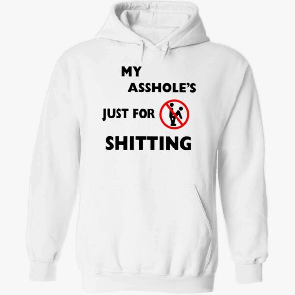 Ahole Just For Shtting Hoodie