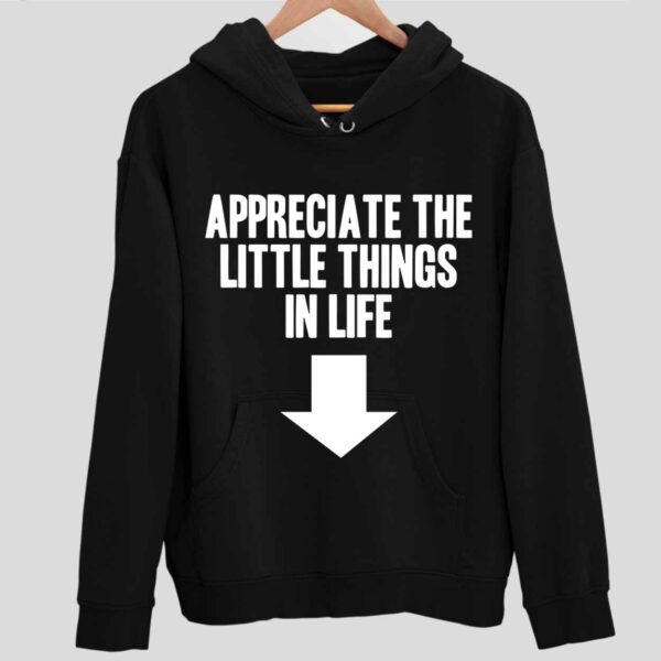 Appreciate The Little Things In Life Hoodie