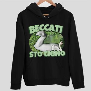 Beccati Sto Cigno Hoodie