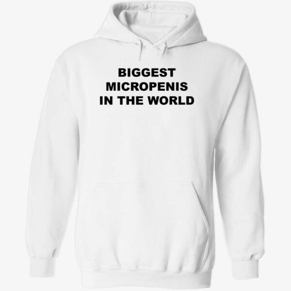 Biggest micropenis in the world hoodie