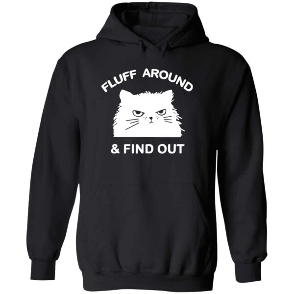 Cat Fluff Around And Find Out Hoodie