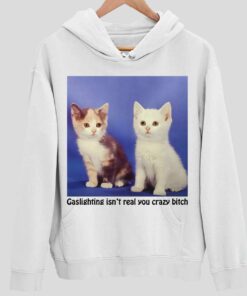 Cat Gaslighting Isn't Real You Crazy Btch Hoodie 1