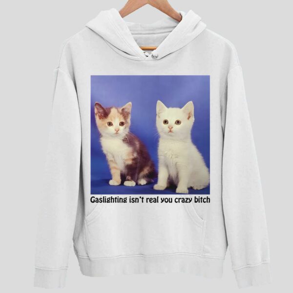 Cat Gaslighting Isn’t Real You Crazy Btch Hoodie