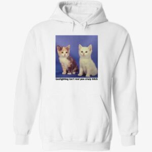 Cat Gaslighting Isn’t Real You Crazy Btch Hoodie