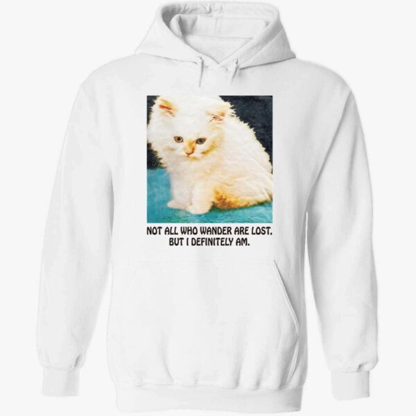 Cat Not All Who Wander Are Lost But I Definitely Am Hoodie