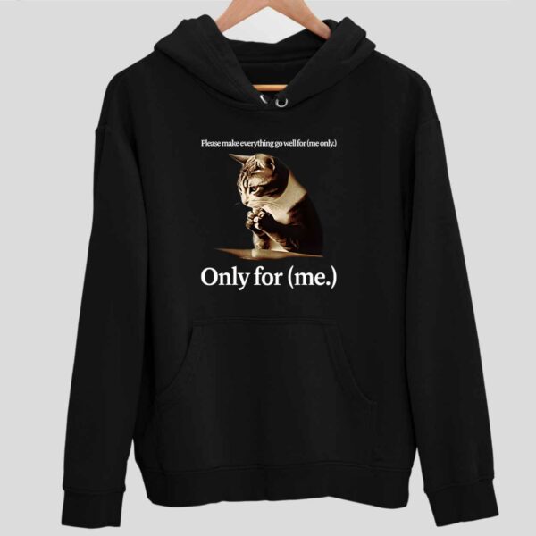 Cat Please Make Everything Go Well For Only For Me Hoodie