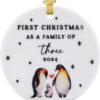 Christmas Ornament 2024 Tree Decorations