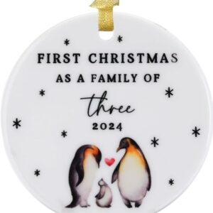 Christmas Ornament 2024 Tree Decorations