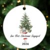 Christmas Ornament 2024 Tree Decorations Gifts