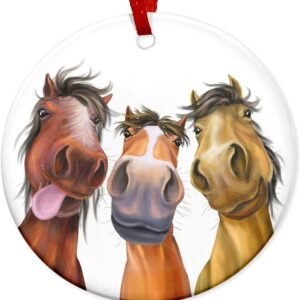 Christmas Ornament Funny Horse Gifts