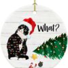 Christmas Ornament Tuxedo Cat Funny Xmas Tree Hanging