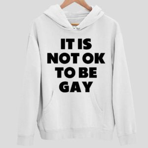 Daniel Charles Svoboda It Is Not Ok To Be Gay Hoodie