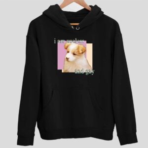 Dog I Am Useless And Gay Hoodie