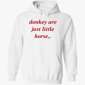 Donkey Are Just Little Horse Hoodie