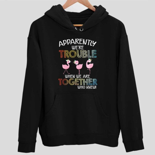 Flamingos Apparently We’re Trouble When We Are Together Who Knew Hoodie