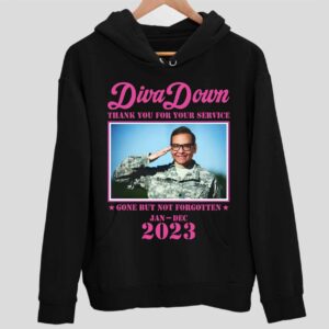 George Santos Diva Down Thank You For Your Service Hoodie