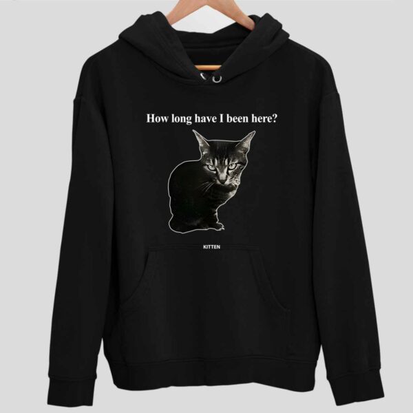 How Long Have I Been Here Kitten Cat Hoodie